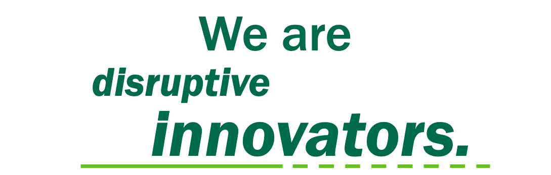 We are disruptive innovators